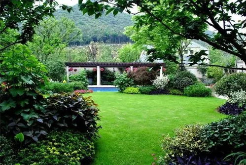 園林景觀設(shè)計(jì)入門(mén)指南 小白輕松上手的設(shè)計(jì)思路與實(shí)踐